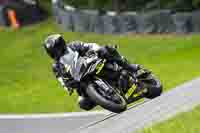 brands-hatch-photographs;brands-no-limits-trackday;cadwell-trackday-photographs;enduro-digital-images;event-digital-images;eventdigitalimages;no-limits-trackdays;peter-wileman-photography;racing-digital-images;trackday-digital-images;trackday-photos